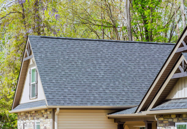 Best Roof Moss and Algae Removal  in Benton, TN