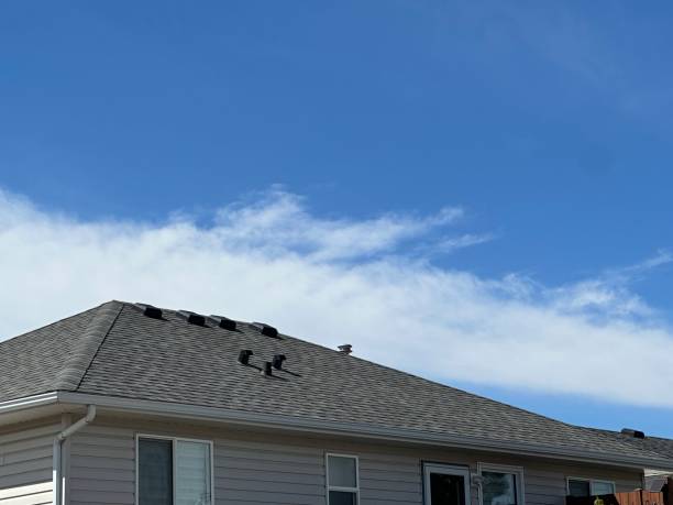 Best Asphalt Shingles Roofing  in Benton, TN